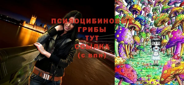 стафф Зеленокумск