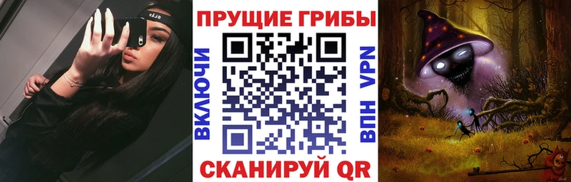 Купить  Бологое  Галлюциногенные грибы Psilocybine cubensis 